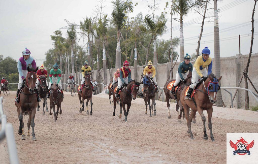 Cá cược đua ngựa