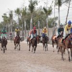 Cá cược đua ngựa: Khám phá và tổng hợp mẹo chơi từ những cao thủ Cá cược đua ngựa