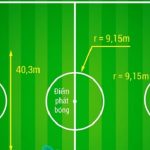 Football Pitch Là Gì? Những Tiêu Chuẩn Quan Trọng Về Sân Bóng Đá Football Pitch