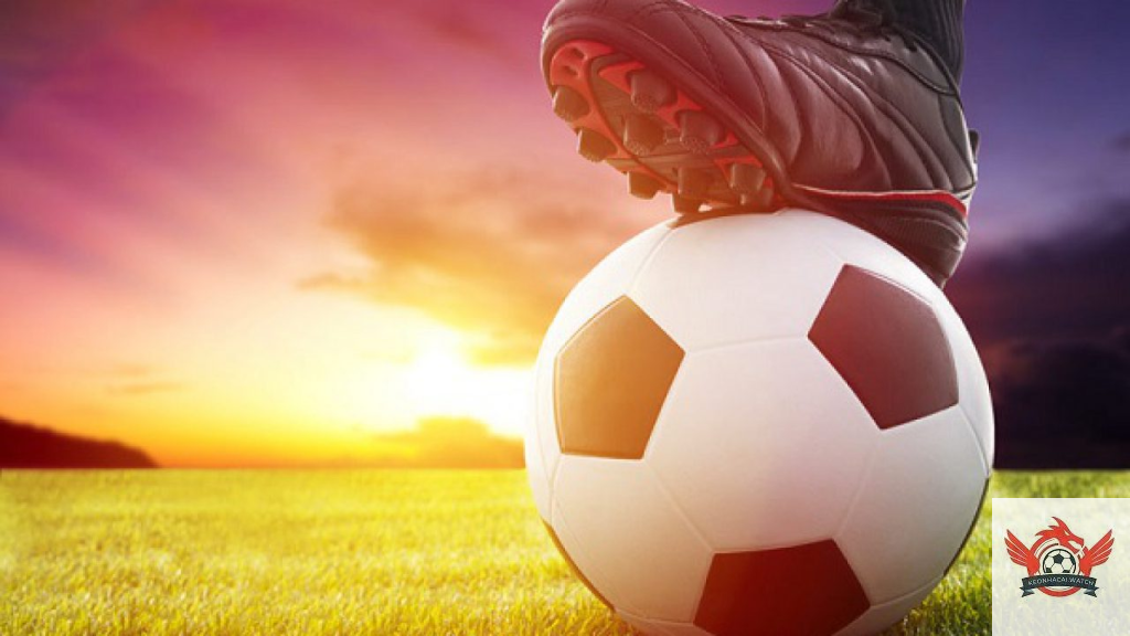 Kèo Đồng Banh Nửa Trái Là Gì