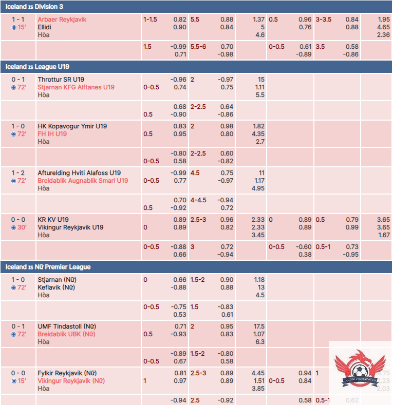 cách đọc kèo châu á