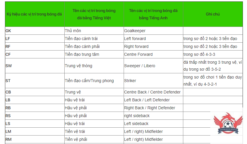 Vị Trí Trong Bóng Đá